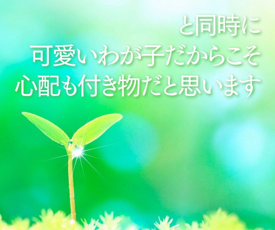 子育ての悩みや不安❗現役支援員が真心込めて伺います 教育現場で働く私が子育てや発達、園や学校のお話お聴きします イメージ4