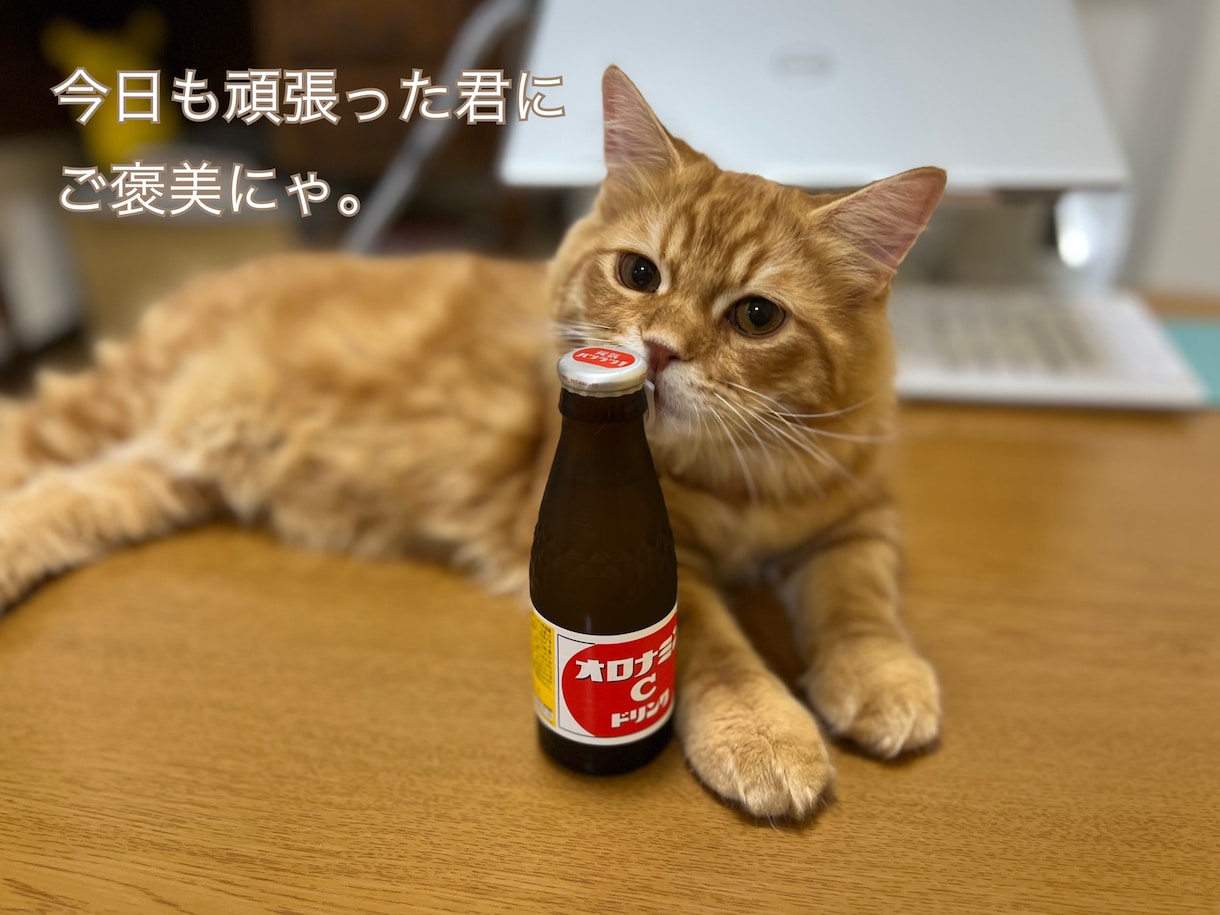 誰かと比べられるのは辛いですよね。お話聞きます あなたのこころが癒やされますように イメージ8