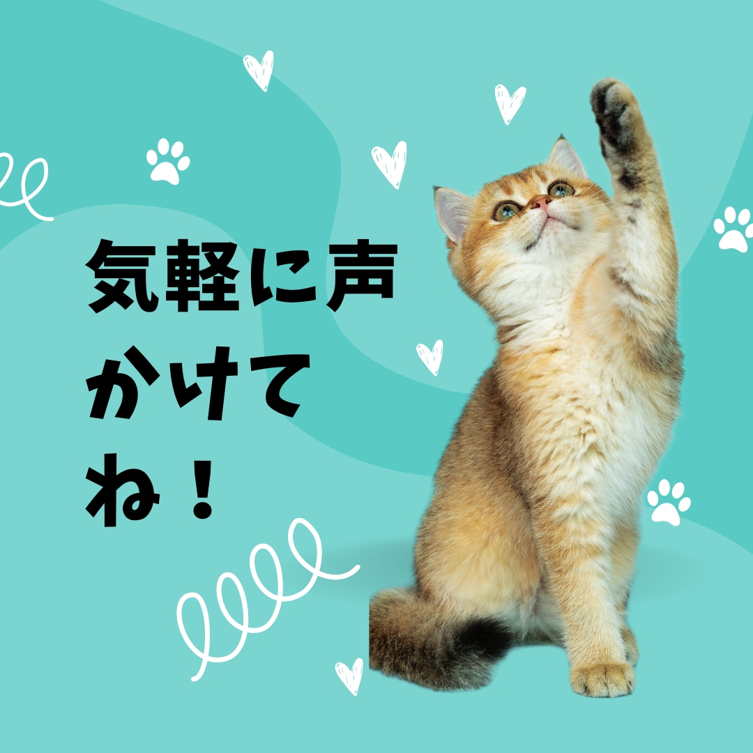 何でもOK！理由なんてなくていいよ♪ お話聞きます 精神科准看護師 りんがあなたのお気持ちほぐします。 イメージ1