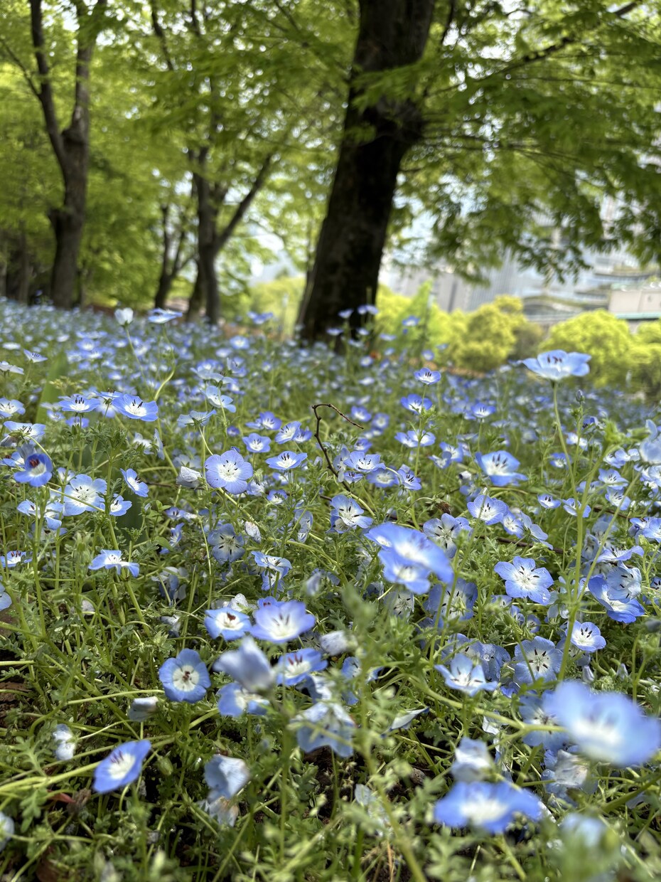 ふと誰かと話したくなったとき✨お話相手になります 心、体、人間関係…浮かんだことを自由にお話しくださいね✨ イメージ5