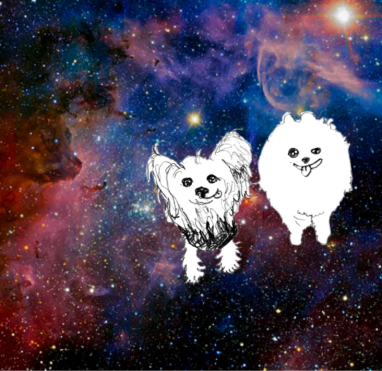 ペットのワンちゃんイラスト描きます 【犬限定】✰︎あなたのワンちゃんを宇宙に浮かばせませんか✰︎ イメージ5