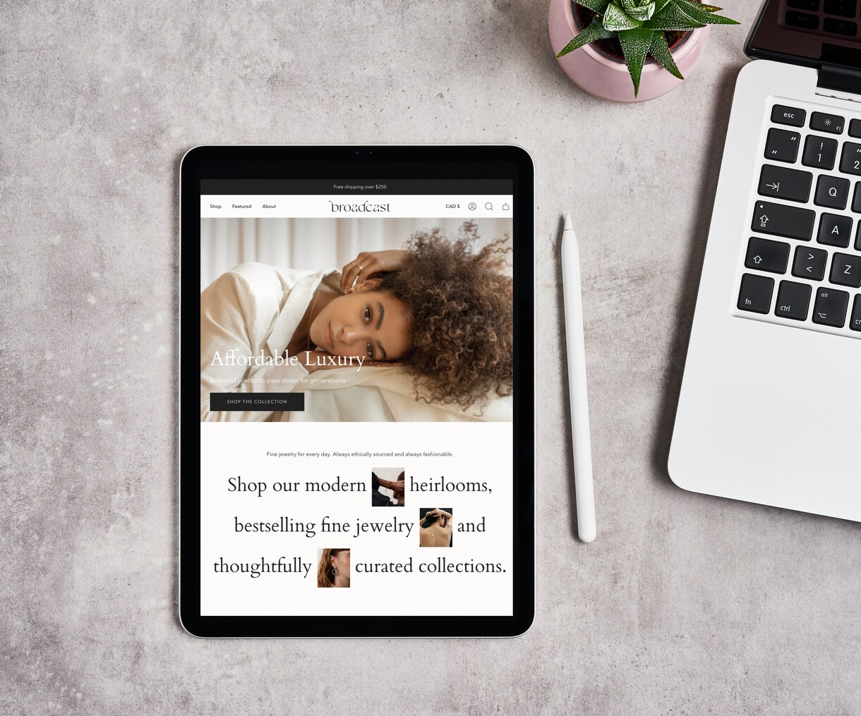 女性向け・高品質のShopifyサイト制作します WEB歴20年、Shopifyのエキスパートにお任せ イメージ4