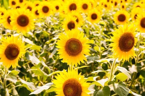 あなたのお悩みをすべてお聞きします 一人で解決するより相談してください。一緒に解決しましょう イメージ1