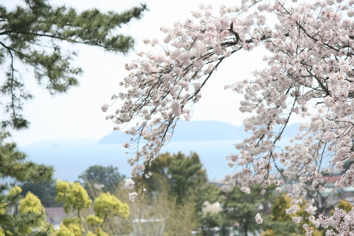 プロの心理士があなたのお悩みを聞きます 心理士の資格を持つ私があなたのお悩みを聞きます。 イメージ1