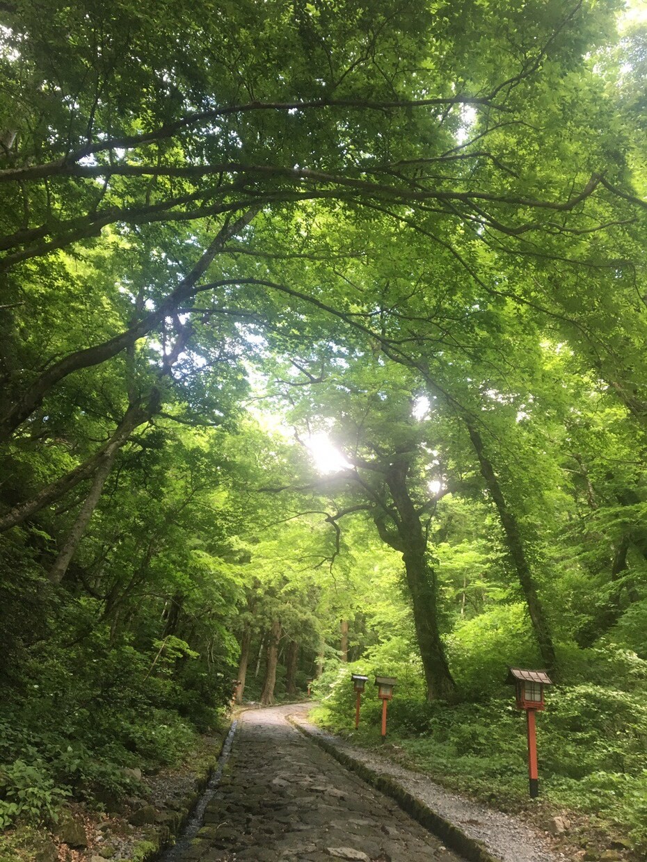 話を聞く専門家がどんな重たい話でもなんでも聞きます 誰にも言えない事、愚痴、楽しく会話、経験豊富な私が話聞きます イメージ1
