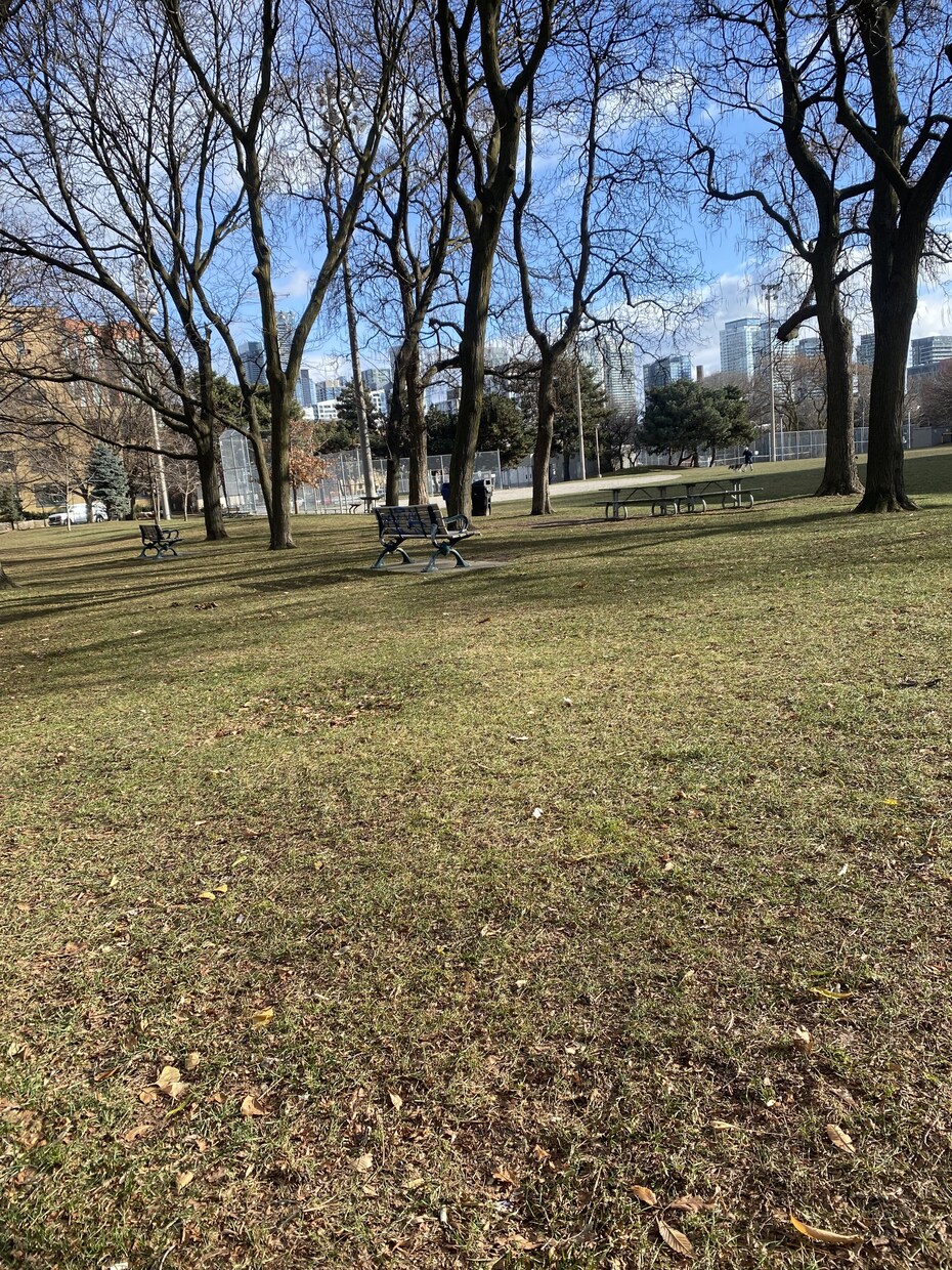 海外の生活の中で見ることのできる景色をお届けします 今海外に行ってますにぜひお使いください！ イメージ10