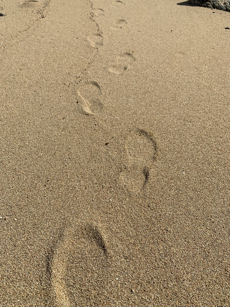 誰でもOK！あなたの心のモヤモヤを全て打ち解けます 主婦もサラリーマンも！誰にも言えない悩みを丁寧に聞いて解決！ イメージ4