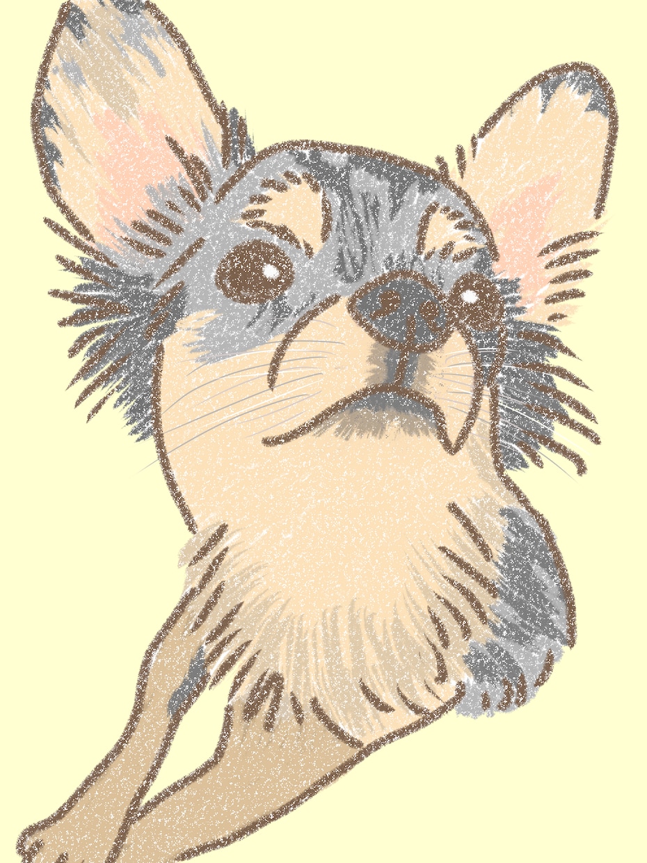 ペットちゃんのイラスト作成します お気に入りの1枚を、ほんわか癒やしのイラストにします イメージ1