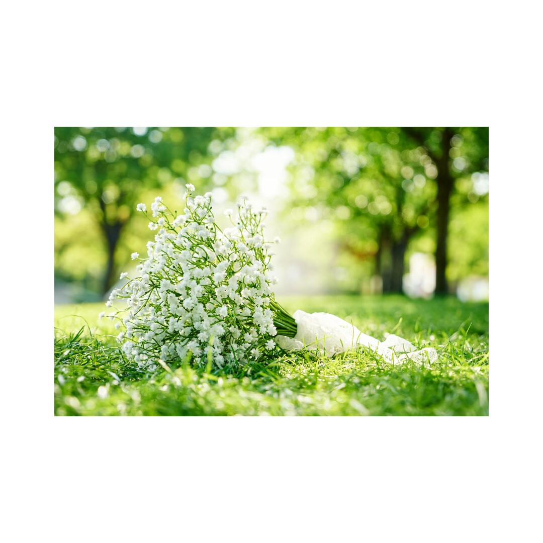 今すぐ話したい❣️1分でも❣️優しくお聴きします どんなお話も大歓迎♪ 心がふっと軽くなる癒しの時間 イメージ7