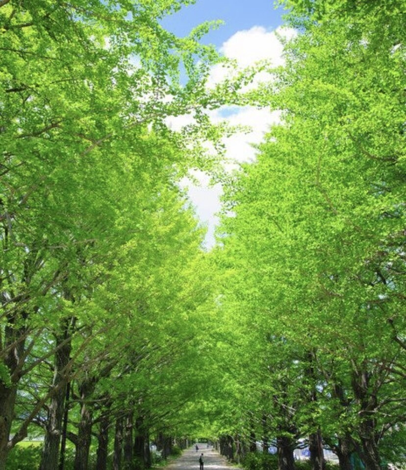 心の相談、聞きます 今、抱えてる問題の手助けをさせて下さい イメージ1