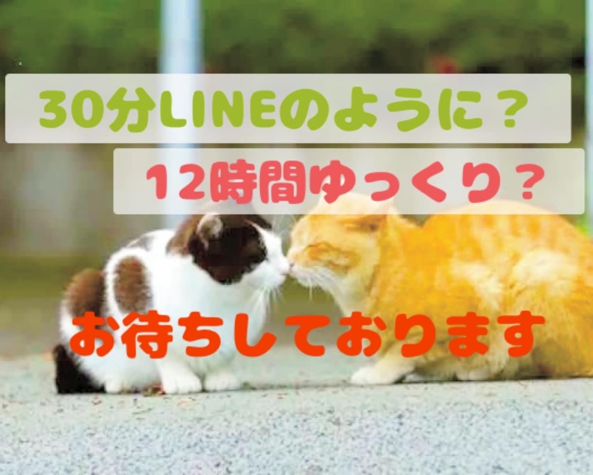 30分LINE感覚or半日ゆっくりチャットします 一日2名様まで♡チャットでお話しませんか？‎|•'-'•) イメージ1