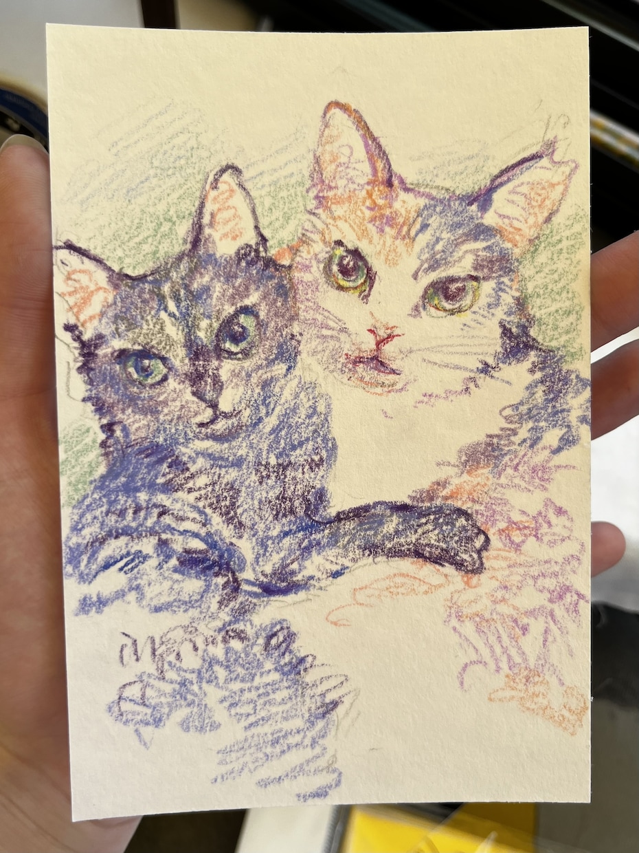 色鉛筆でペットの似顔絵ポストカード制作します 色鉛筆で雰囲気のある色味の似顔絵を描きます！ イメージ6