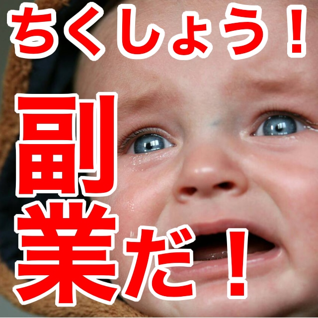 稼げるカメラ転売教えます 副収入を稼ぎたい方、在宅ワークを探している方にオススメ！ イメージ1