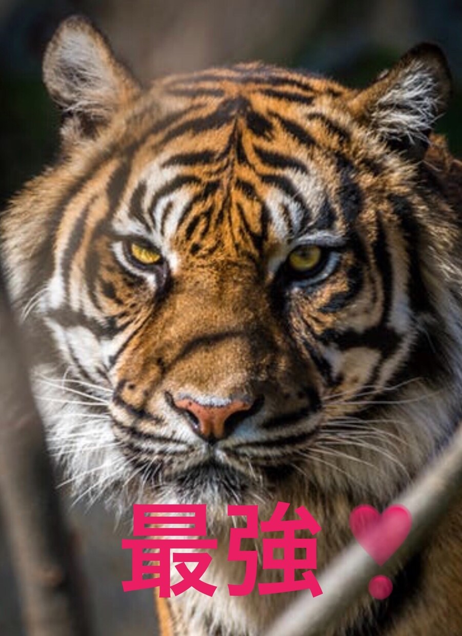 私の溢れ出るパワーをおすそ分けします 何故か根拠のない自信があって、負ける気がしない！（笑） イメージ1