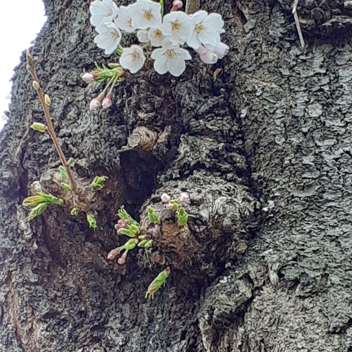 寂しいときや誰かに聞いて欲しいは何でもききます 話したいことや愚痴などなんでもお話ください イメージ1