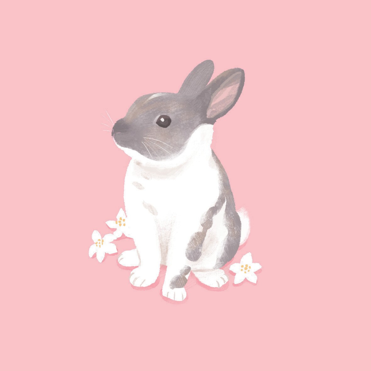 ペットの似顔絵描きます SNSのアイコンなどにどうぞ！ イメージ6