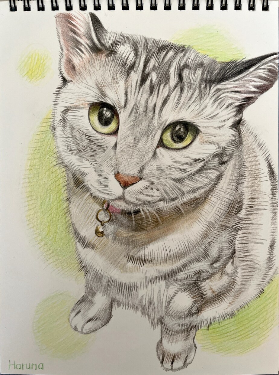 ペットの似顔絵お描きします 写真をもとに、色鉛筆の温もりあるタッチでお描きします イメージ2