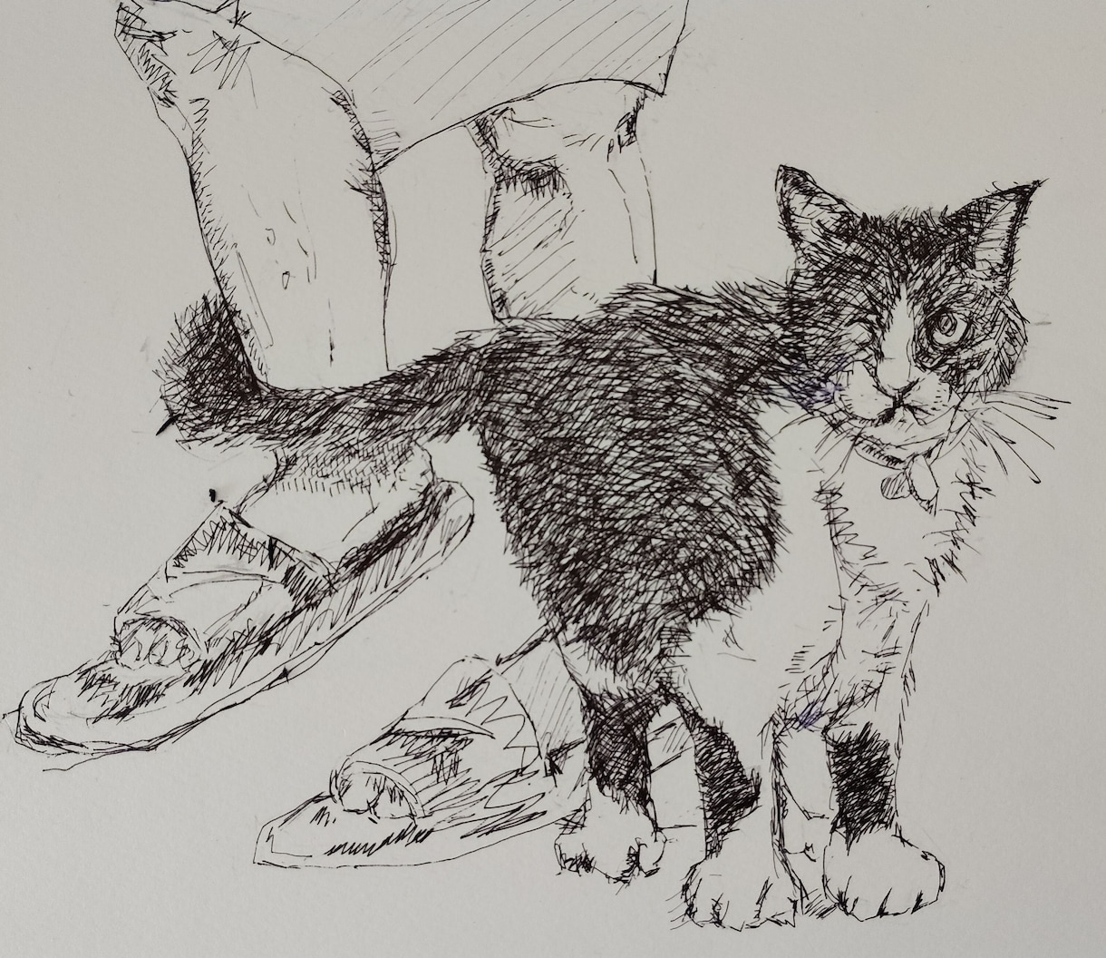 愛するペットを温かみのある手描きイラストで描きます 大切な家族の思い出を世界に一つだけの作品に イメージ3