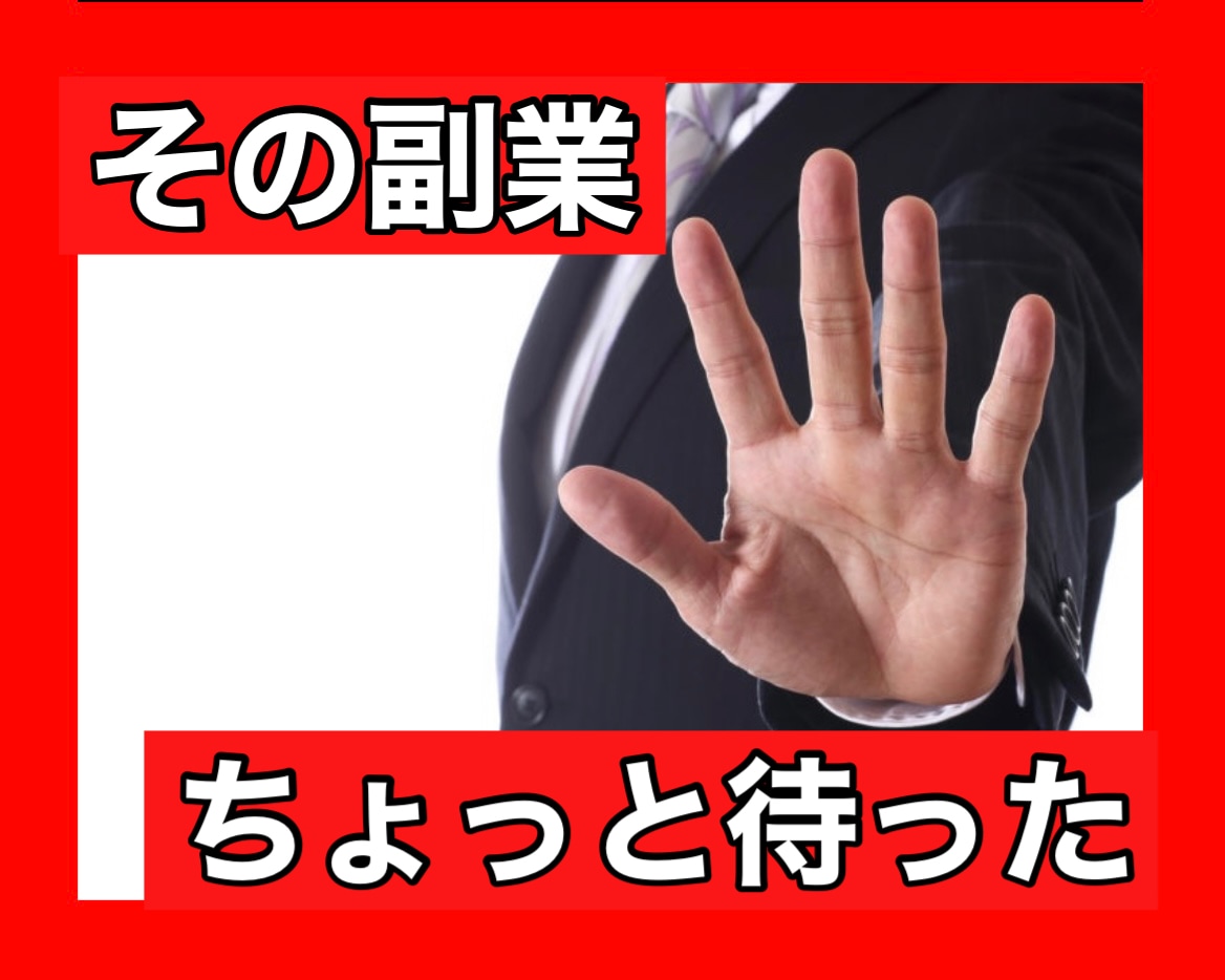 あなたが始めようとしてる副業調査します 騙される前に一旦私に相談してください！ イメージ1