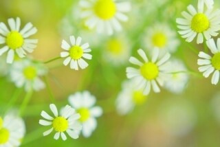 現役ママが様々なお悩み愚痴何でもお話お聞きします ＊身近な人には話せない！そんな時こそお話聞かせて下さいね✳︎ イメージ2