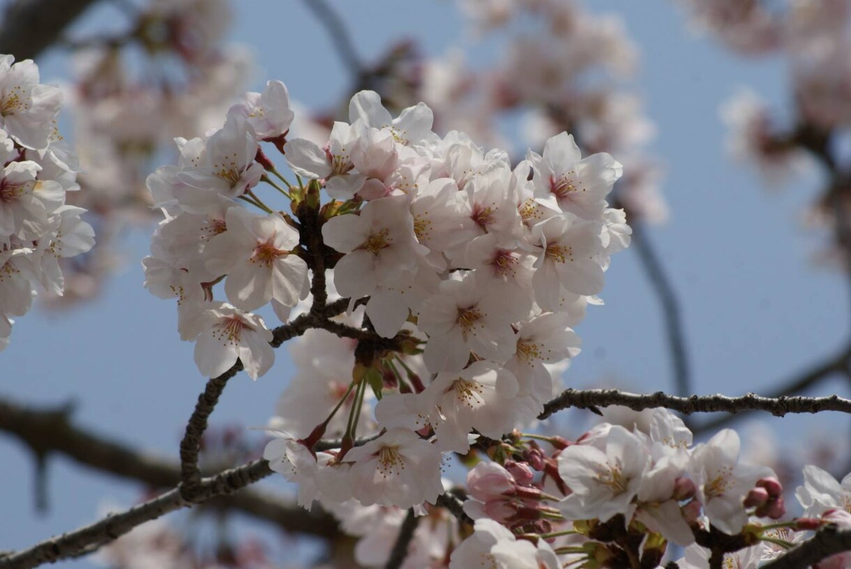 あなたの愚痴いつでも言って下さい待ってます 友人にも言えない事ありますよね？私に話しかけて下さい。 イメージ5