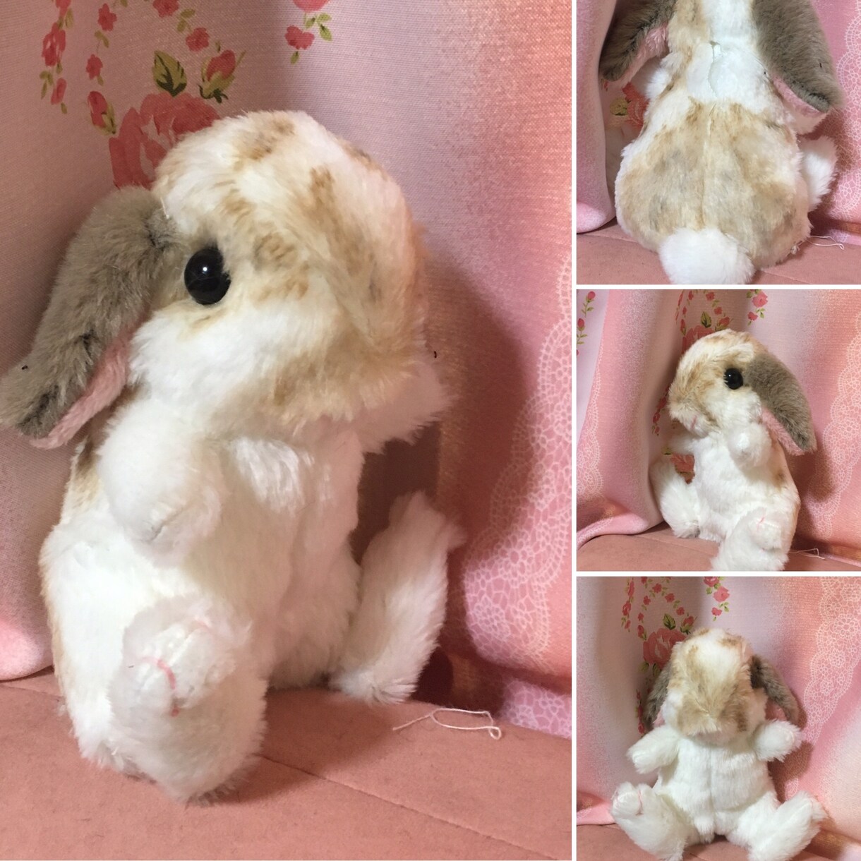 ペットのぬいぐるみ作ります 大切なペットのぬいぐるみをお作りします！ イメージ6