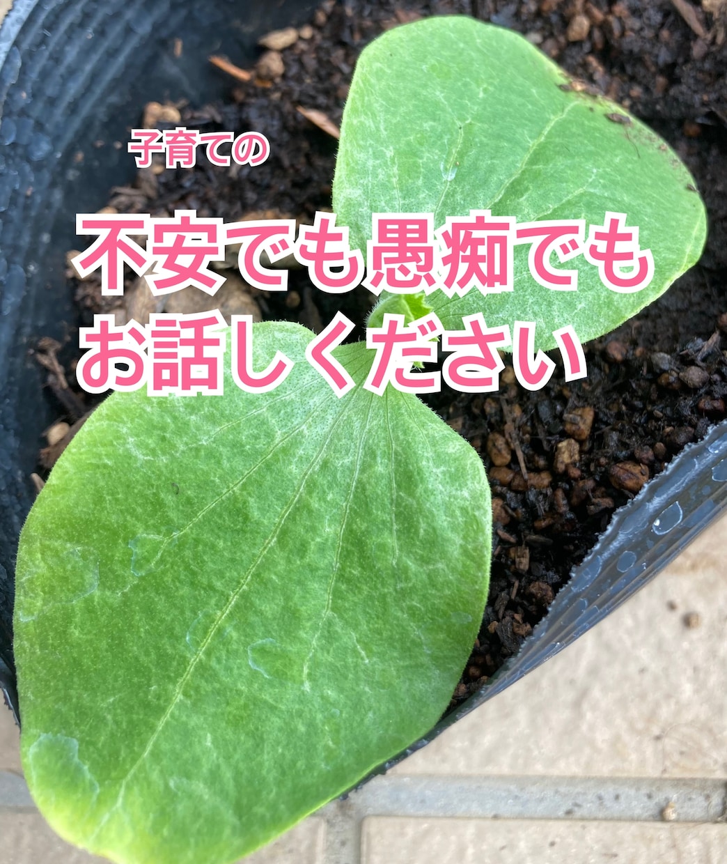 お子さんの発達の不安お話聞きます 発達凸凹娘を子育て中の保育士かぁちゃんが相談・愚痴聞きます イメージ1