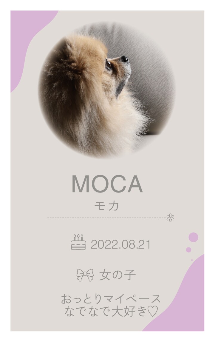 わんちゃんのオリジナル名刺を作成します お写真に合わせてかわいく印象に残るデザインに仕上げます♡ イメージ3