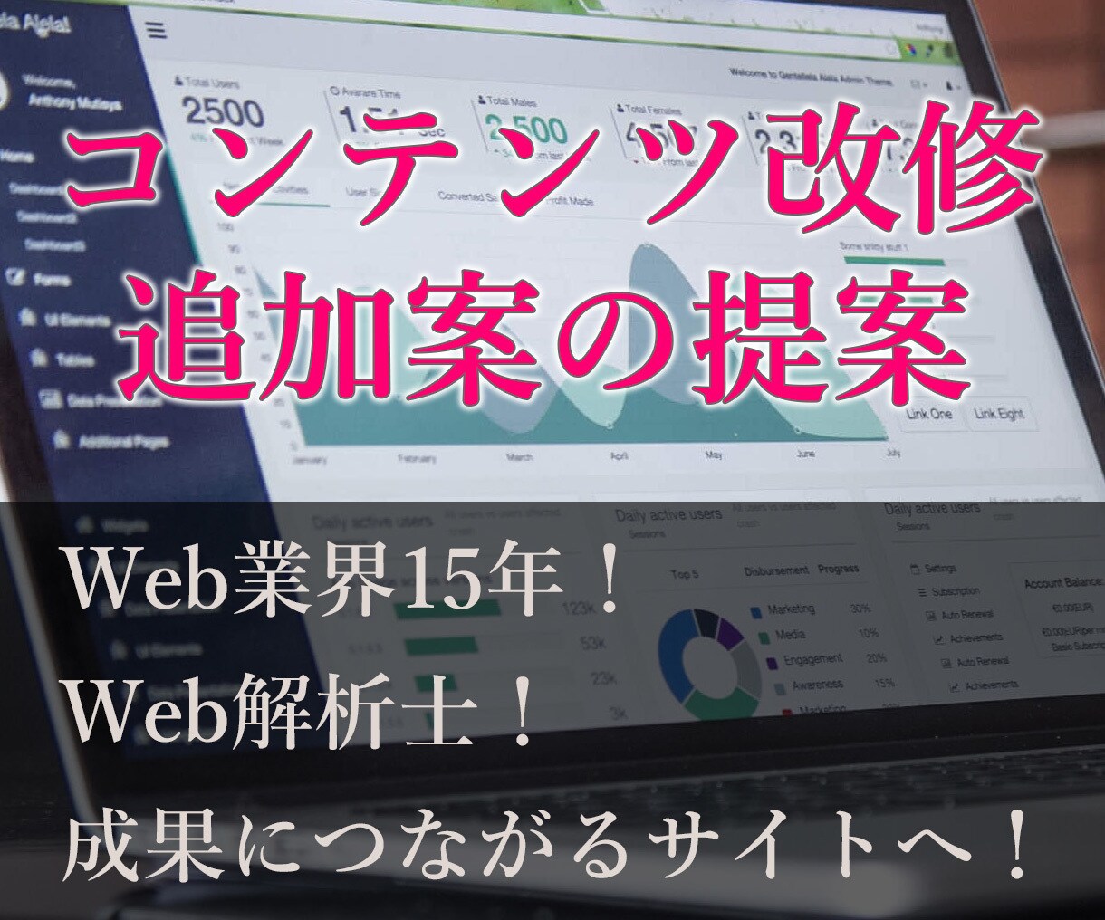 コンテンツ改修・追加案の提案と実行します アクセス解析と他社サイト、市場から提案 イメージ1