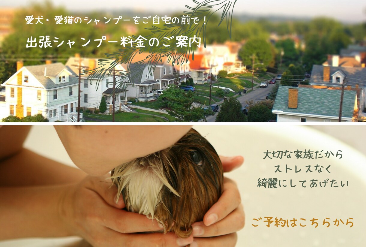売上向上のための公式LINE構築のご相談受付ます 初期設定からデザイン相談、効果的な運用方法まで対応いたします イメージ5