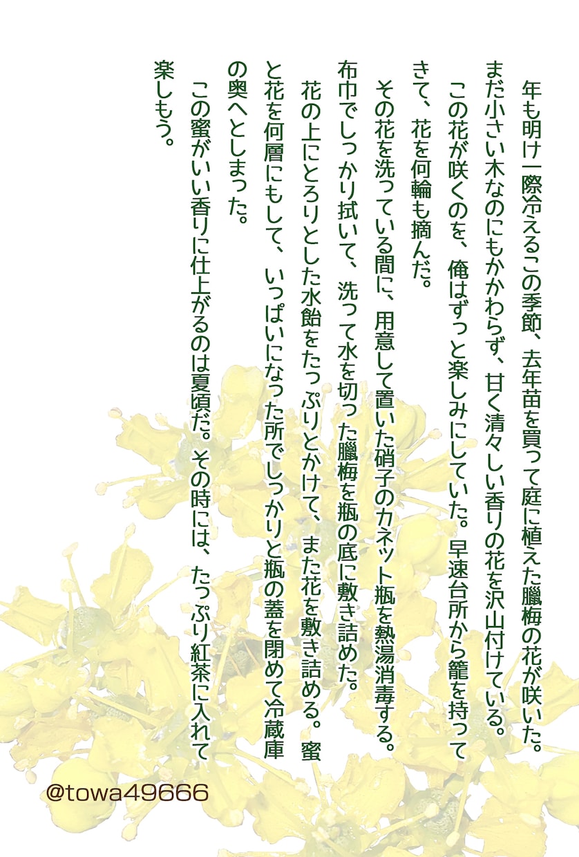 サクッと読める300字SS書きます 小説が苦手だけど小説を読んでみたい方へ。商用プランもあります イメージ9