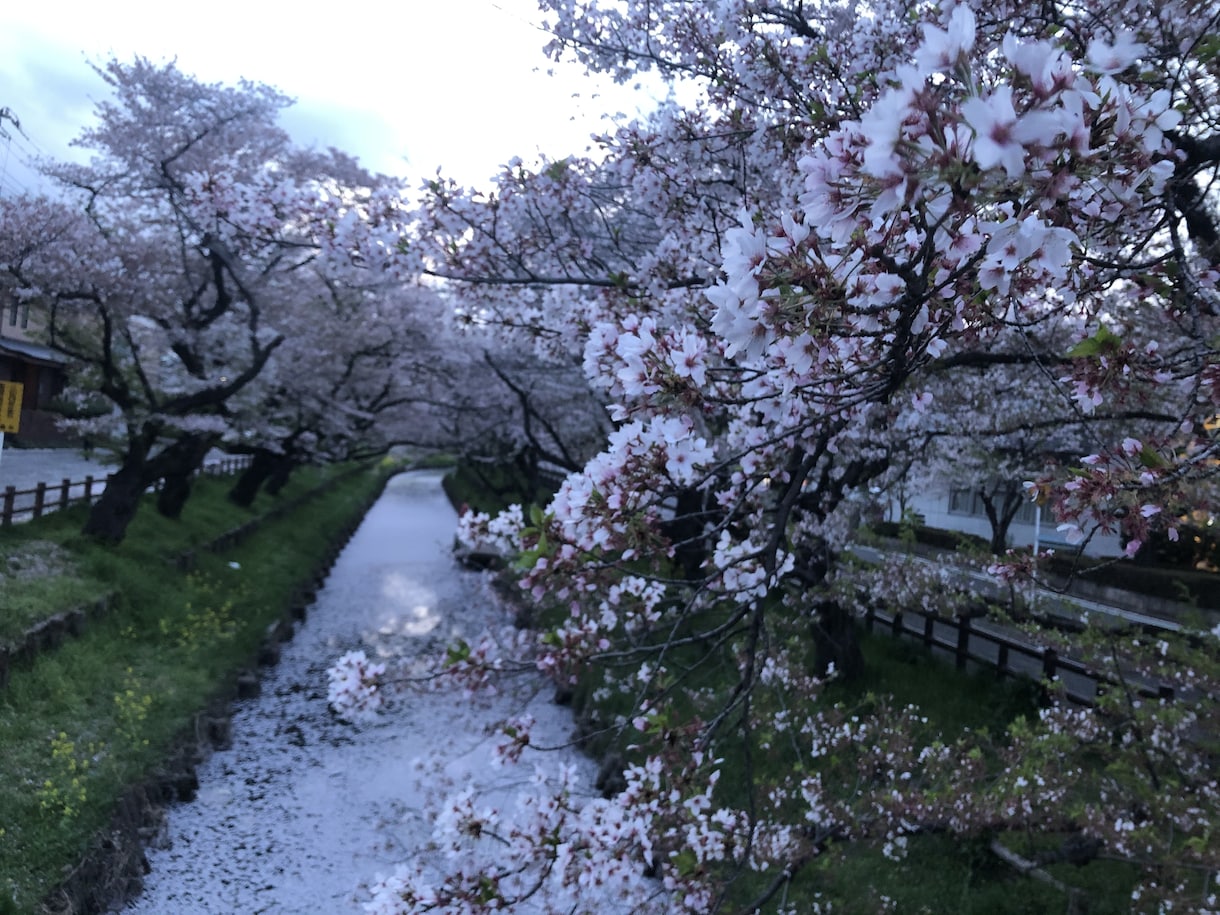 旅行行程考えます 御朱印巡り、美味しいご飯の旅行をしたい方はぜひ！ イメージ4