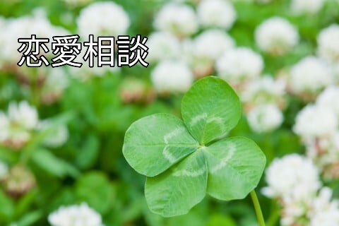 恋愛相談承ります あなたの恋愛の相談をお寄せください。 イメージ1