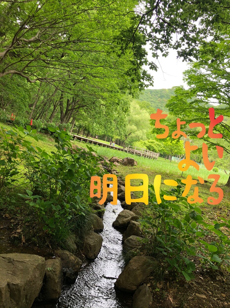 心の専門職が、辛い・不安・人が怖い等の相談受けます 心の病気を持つ方へ。自分を知る事で少し楽になる方法を伝えます イメージ1