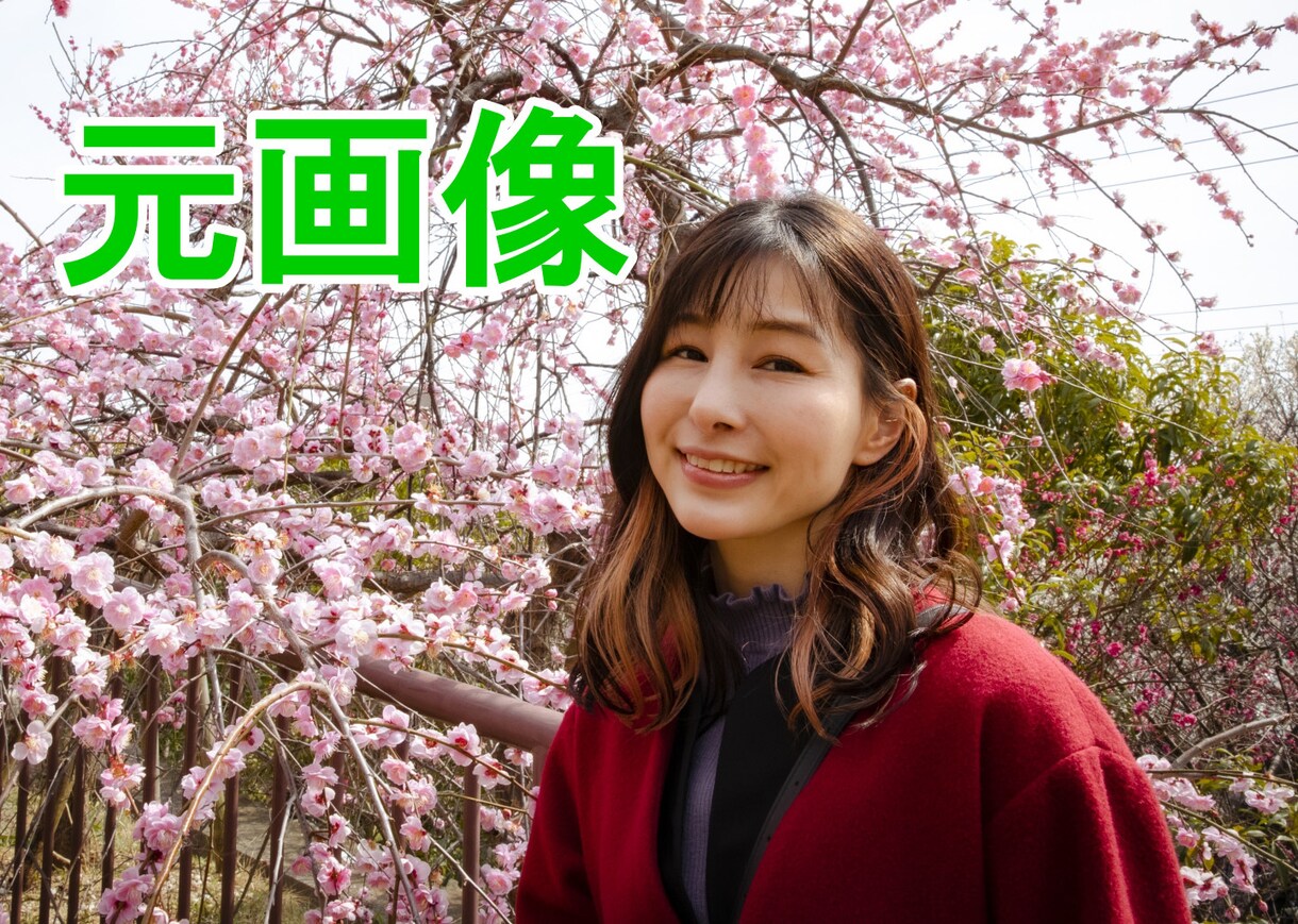 ふわっと切り抜きます 女性、お子様、学校向け　柔らかい印象に仕上げます イメージ4