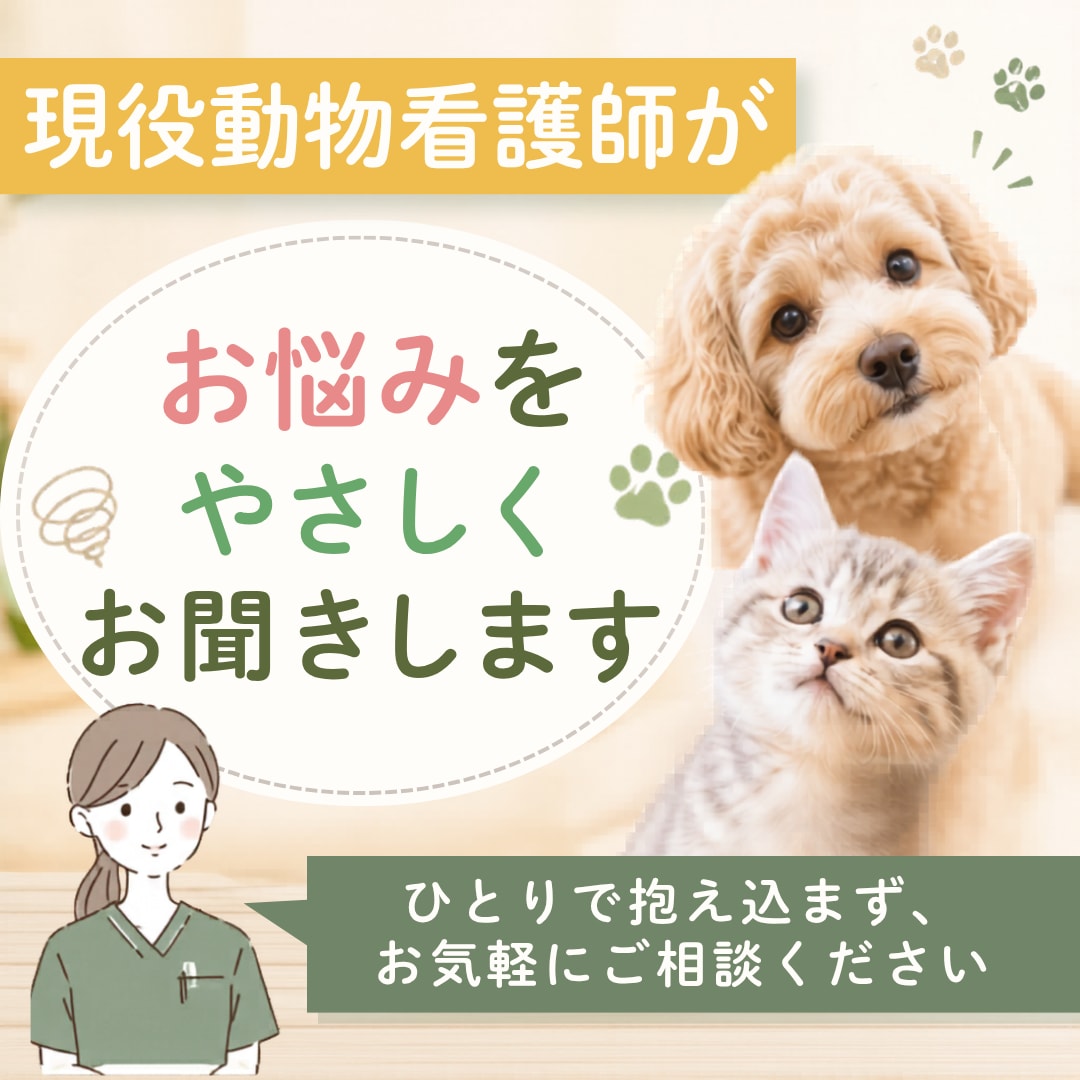 現役動物看護師がうちの子のお悩み聞きます ご希望の方にはオプションでうちの子デザインカードも作成！ イメージ1