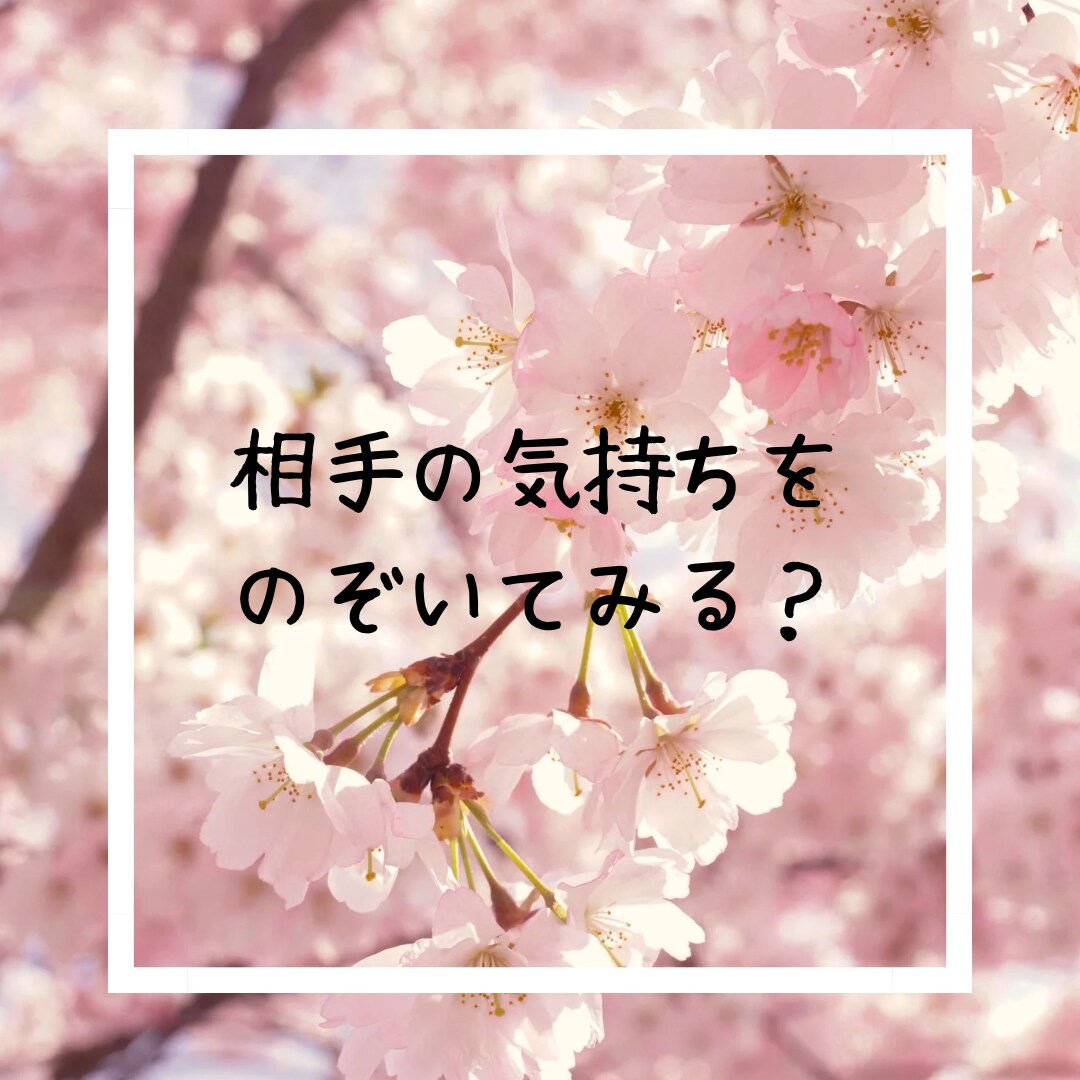 相手の気持ち、状況をタロットカードで占います 気になっている相手の事をタロットカードでのぞいてみましょう イメージ1