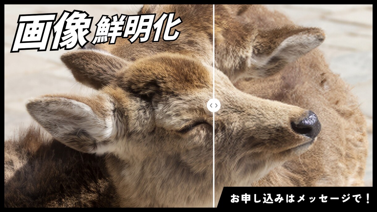AIで写真プロのクオリティに鮮明化します 「その写真、諦めないで。AIが最高の1枚に変えます。 イメージ1