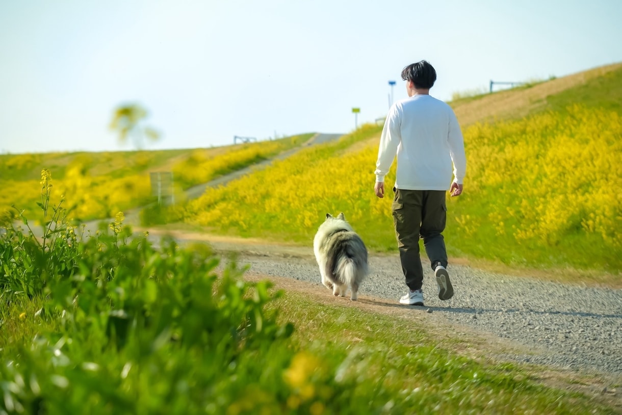 犬、猫、ペットの可愛い表情を撮影します ペットとの大切な日常の思い出を写真に残しませんか？ イメージ7