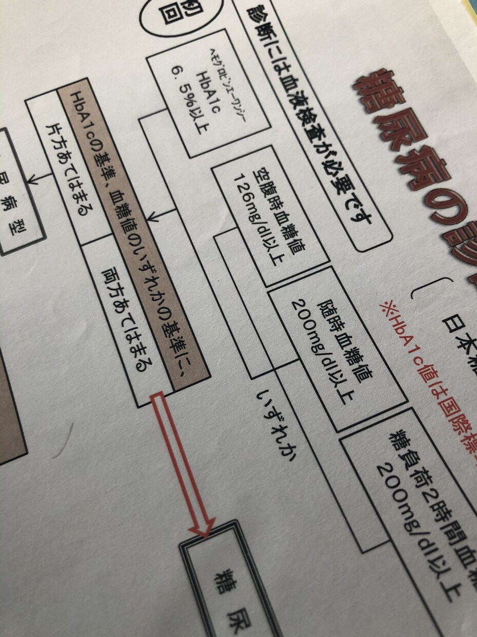 相談のみ。病態別の栄養相談をいたします 生活習慣病の病態に特化した栄養相談 イメージ1