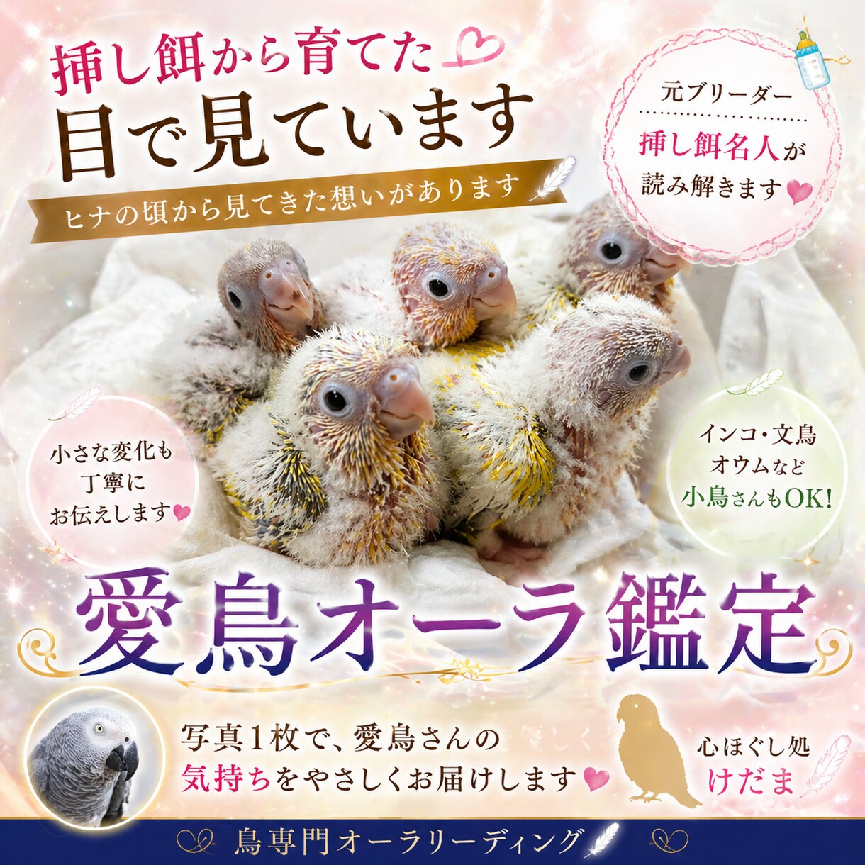 あなたの愛鳥オーラを画像にします 鳥のオーラにも、飼い主様へのメッセージが隠されています イメージ1