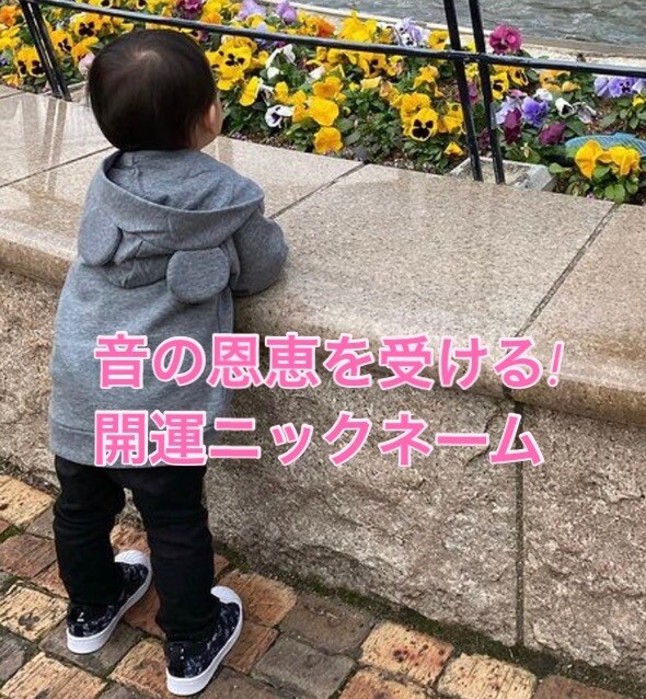 九星に基づき名前の音の影響を鑑定し恩恵音を教えます 名付けは、画数だけでは無く、音の響きを整える必要があります。 イメージ1