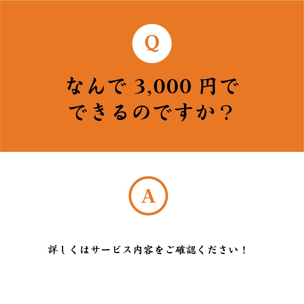 初めての方も安心！：激安でWEBサイト構築します お客様の不安を取り除くためのサービスです。 イメージ4