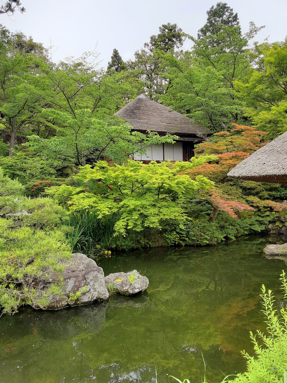 京都のお出かけをより快適に楽しくし提案します 京都好きな方への京都の魅力情報を案内 イメージ10