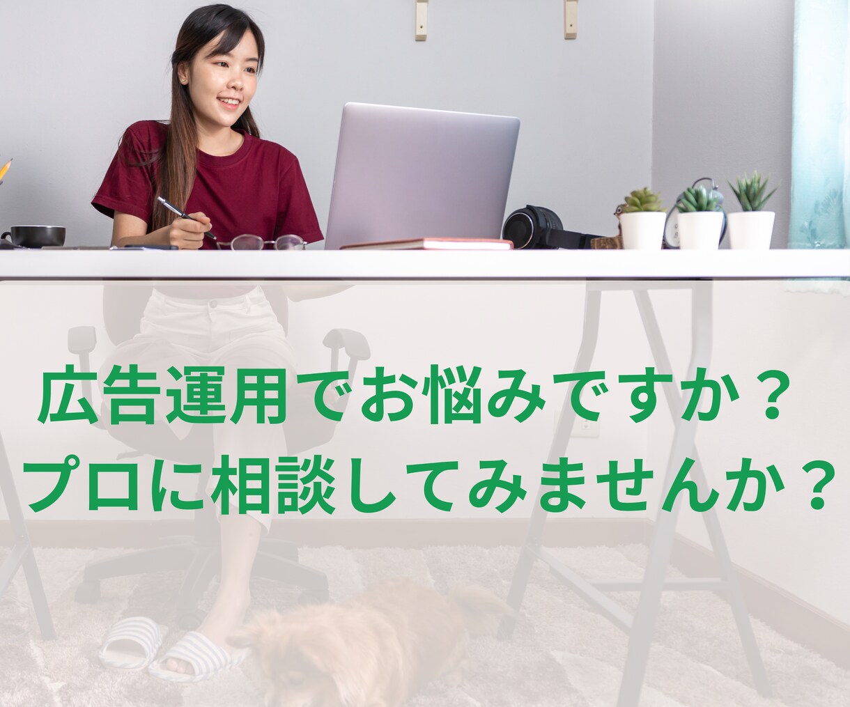 WEB広告運用の運用アドバイスをします WEB広告の始め方、お悩みならお任せください。 イメージ1