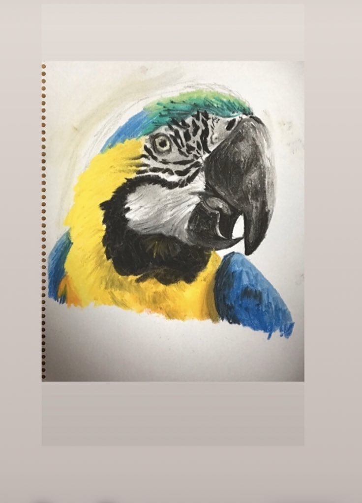 似顔絵、あなたの大切な人、ペット描きます ユーモアのあるタッチ。鉛筆画。絵具などなどご要望に答えます イメージ3