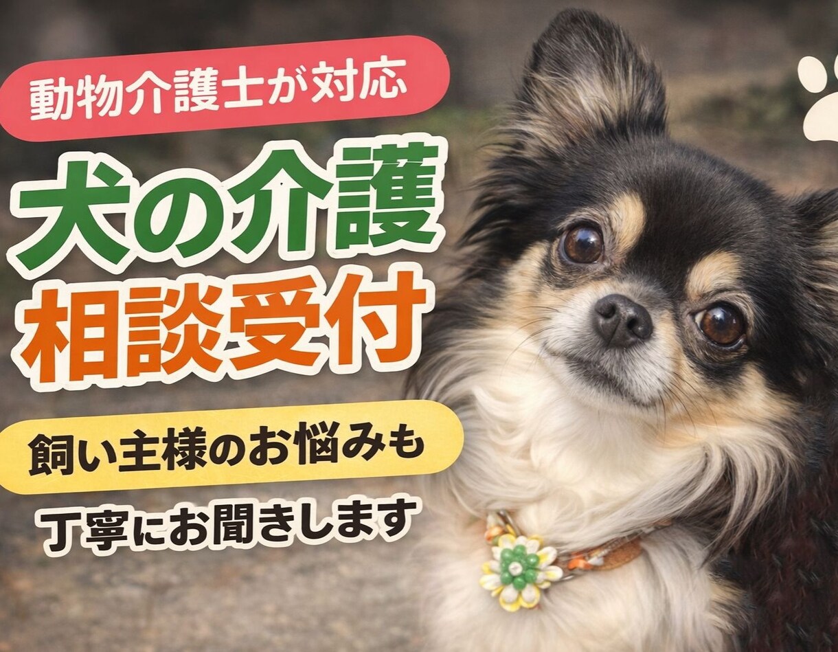 犬の介護・ケア・飼い主様の悩みも丁寧にお聞きします 動物介護士、動物介護ホーム責任者の資格者が対応します イメージ1