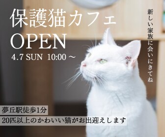 先着5名様限定/1件1500円で画像を制作ます 修正回数無制限で、精一杯誠実に、丁寧に画像を制作いたします！ イメージ4
