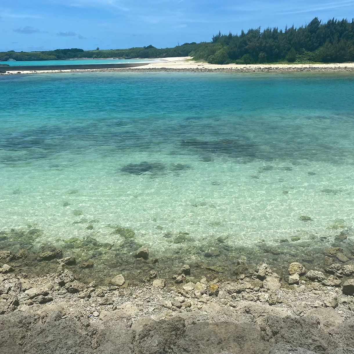 短い時間で彼の気持ちを深掘り鑑定します タロット・ルノルマン複数オラクル使用寄り添い届けます。 イメージ3