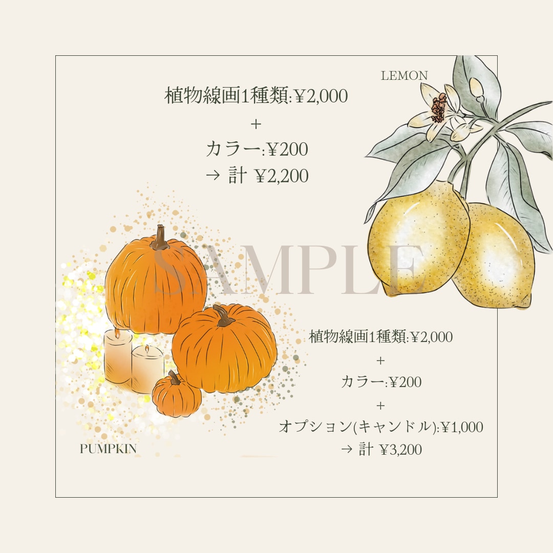 シンプルで可愛い植物画を描きます あなたの好きな植物を教えてください♡ イメージ4